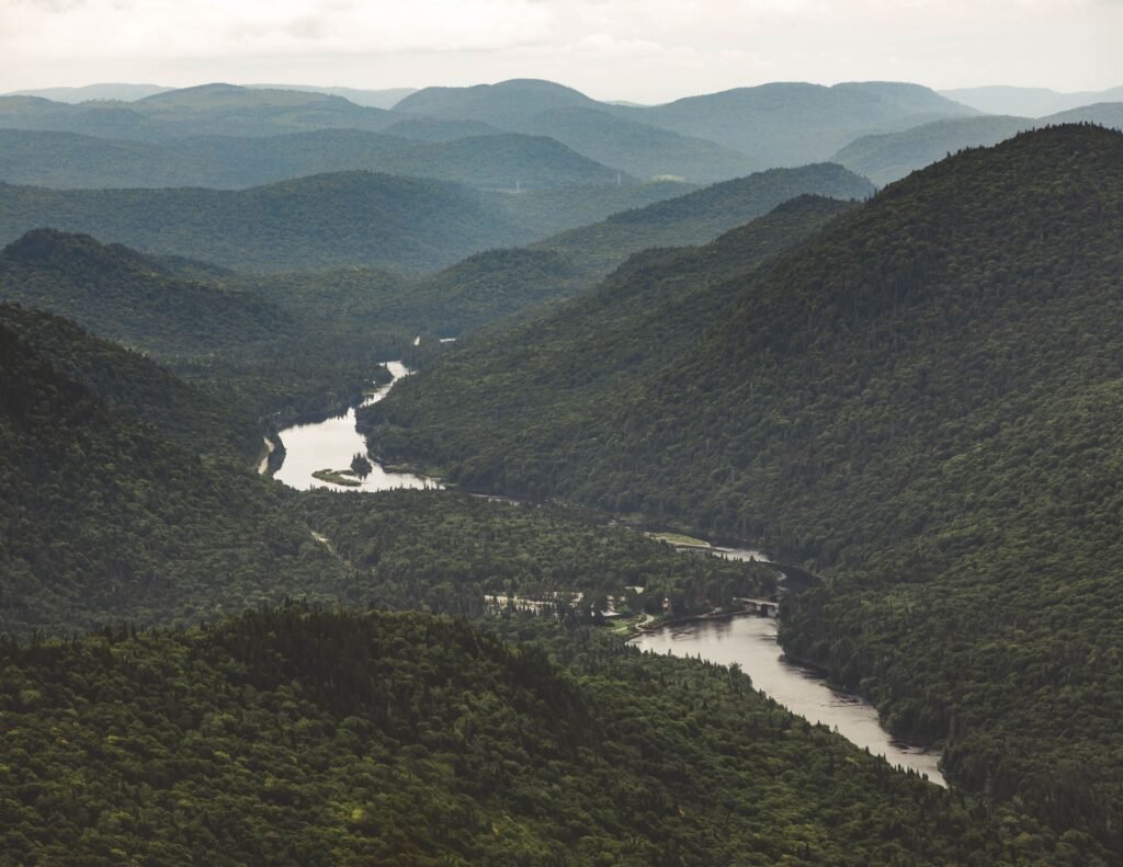 Vallée boisée et rivière au Québec : réparation électroménager Estrie à domicile hors de Sherbrooke